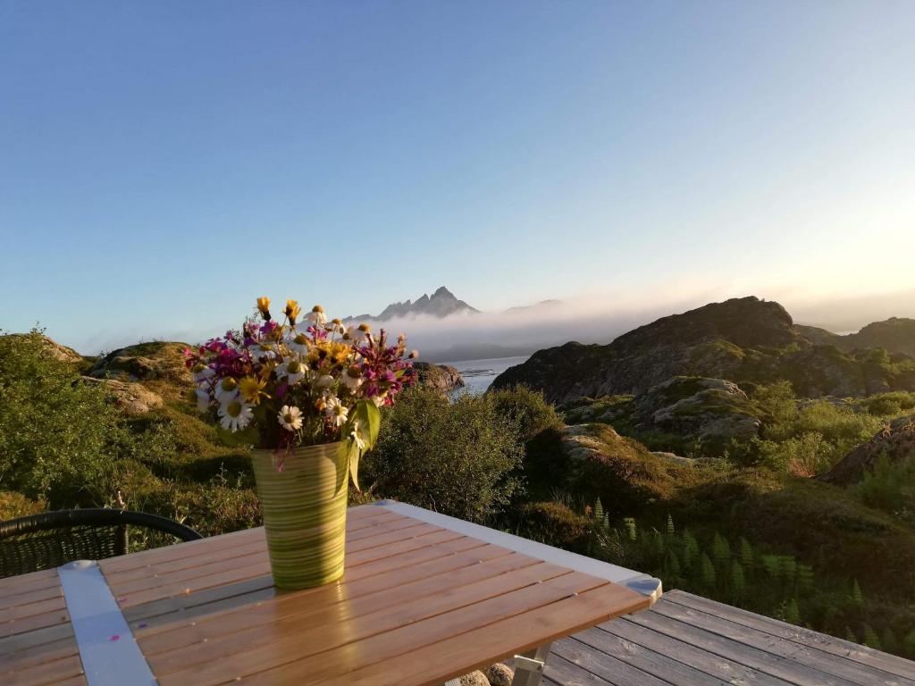 Unique private cabin in Lofoten