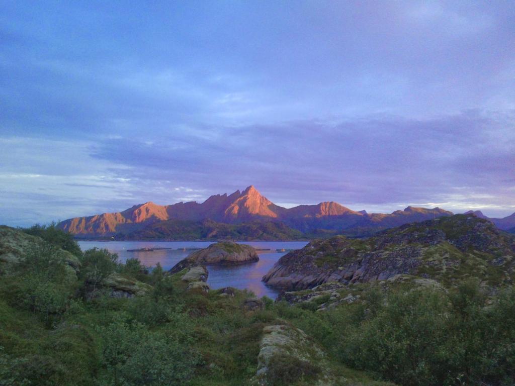 Unique private cabin in Lofoten - 三居室房屋