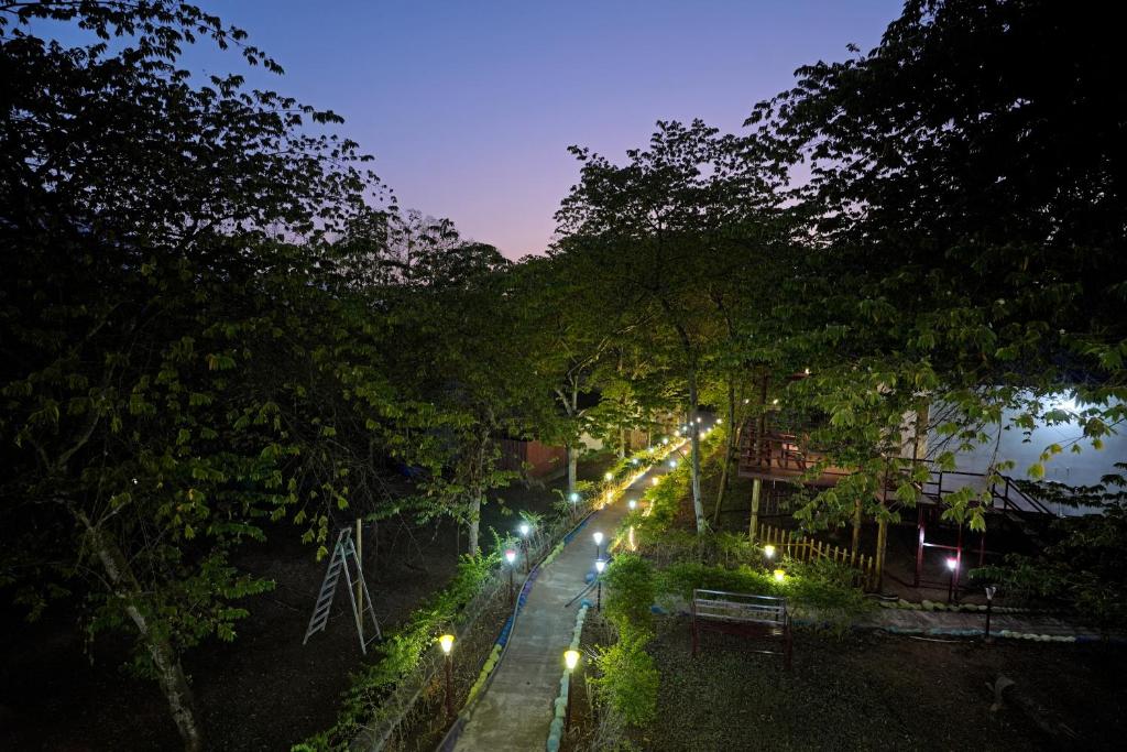 Hillside Spring Valley Resort Masinagudi في ماسيناجودي: شارع فيه اشجار وانوار بالليل