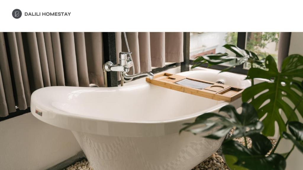 La salle de bains est pourvue d'un lavabo blanc et d'une plante. dans l'établissement Dalili Homestay - A homestay with 3 fully equipped studio in Hanoi old quarter, à Hanoï