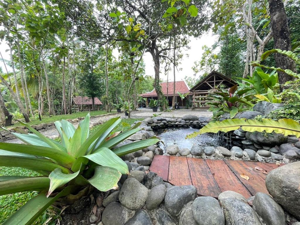 un jardín con un estanque frente a una casa en Omah Ndoro SugihArti, en Serut