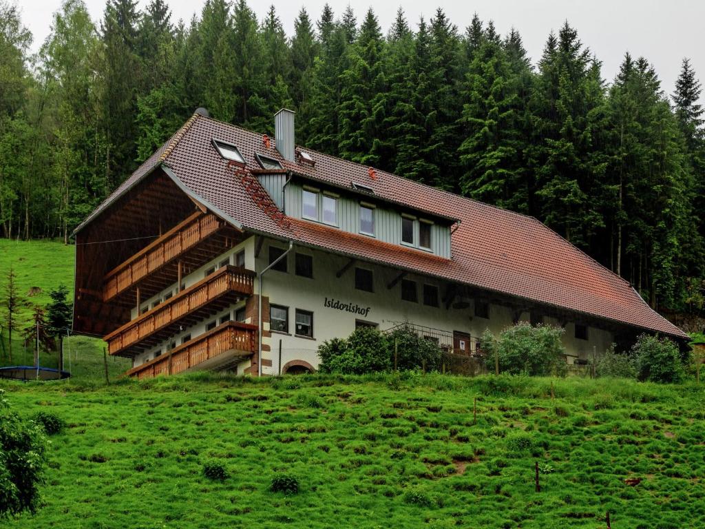 a house on a hill with trees in the background at Cosy farmhouse apartment at the edge of the forest in Mühlenbach