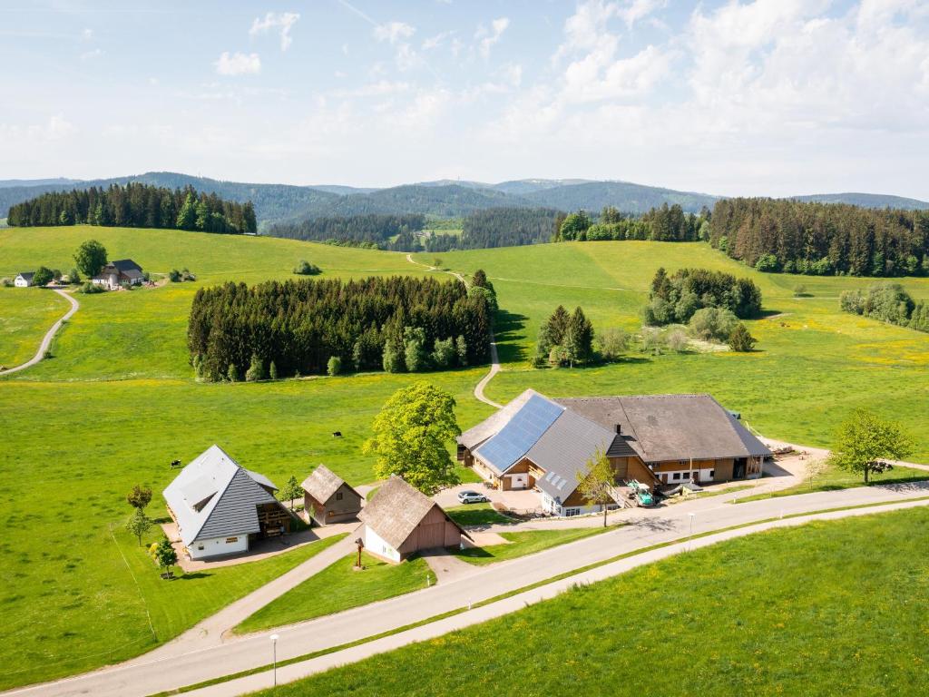una vista aérea de una casa en un campo verde en Haldenmichelhof Ferienwohnungen en Breitnau