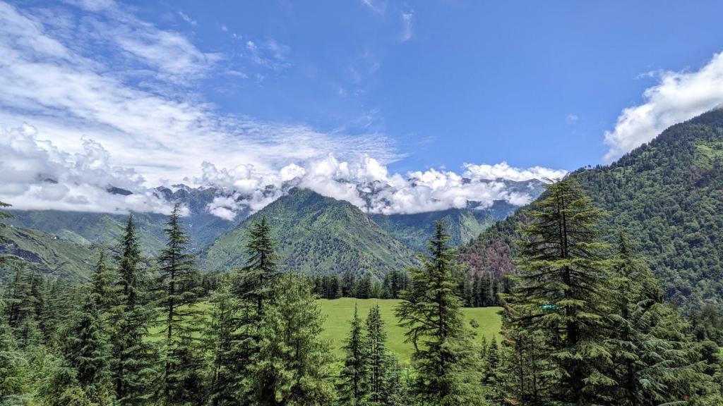 Hiraeth Shangarh, Sainj Valley