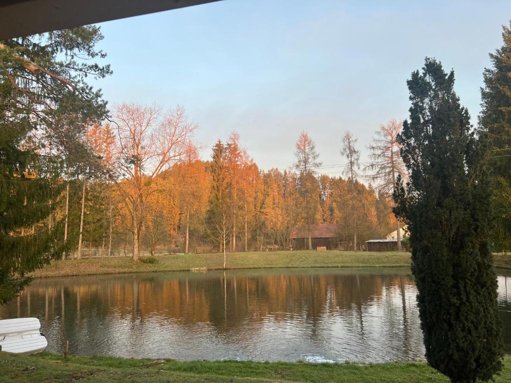 Příroda nedaleko apartmánu