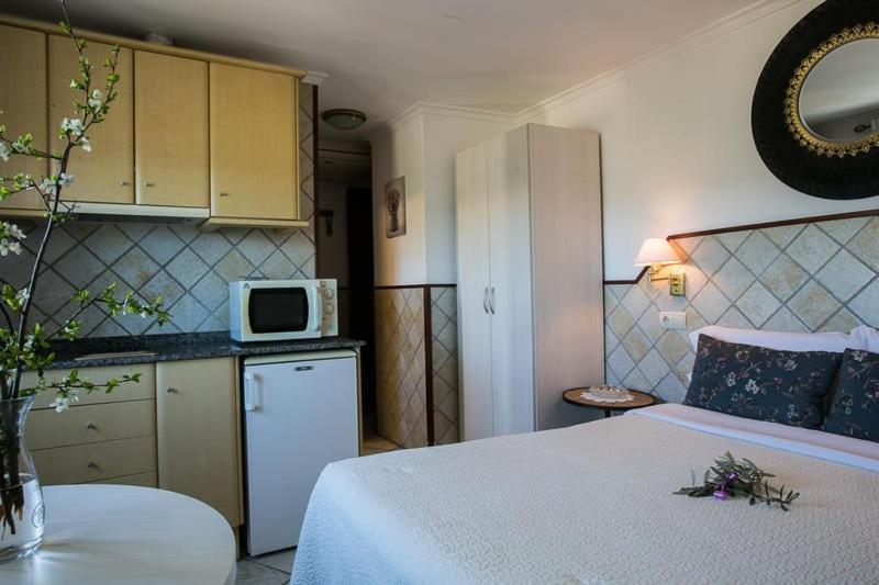 Kuchyň nebo kuchyňský kout v ubytování Estudios Casa Lola de Talarn
