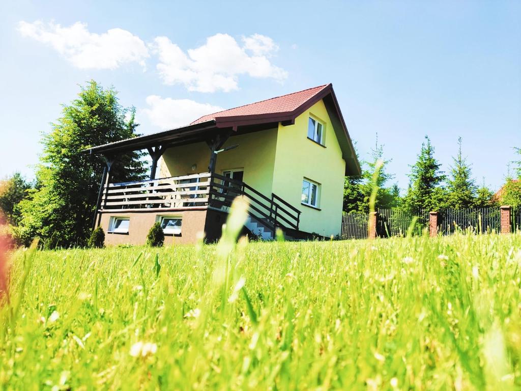 a house on top of a field of grass at WczasyMazurskie - Domek Piwonia Mazury in Ełk