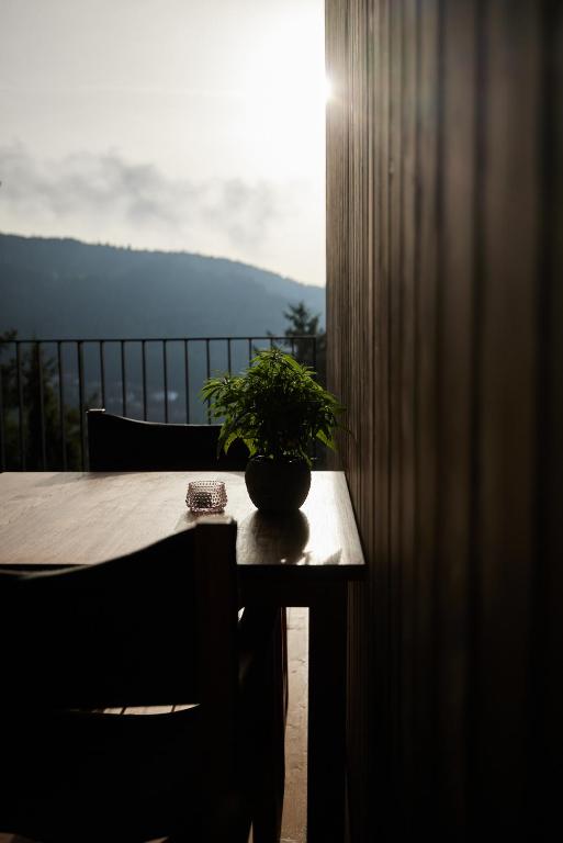 Příroda nedaleko hotelu