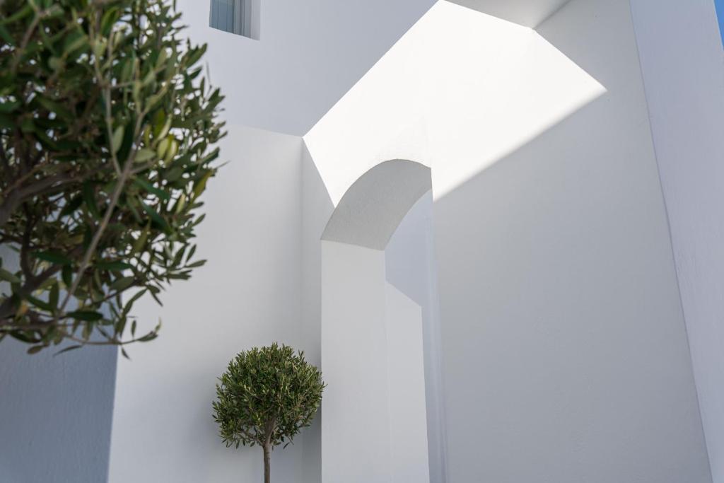 Cycladic Suites & Spa photo