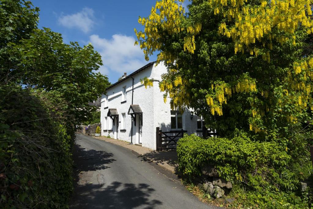 una casa blanca con un árbol al lado de una carretera en Brooklands - Lindale near Grange-Over-Sands en Lindale