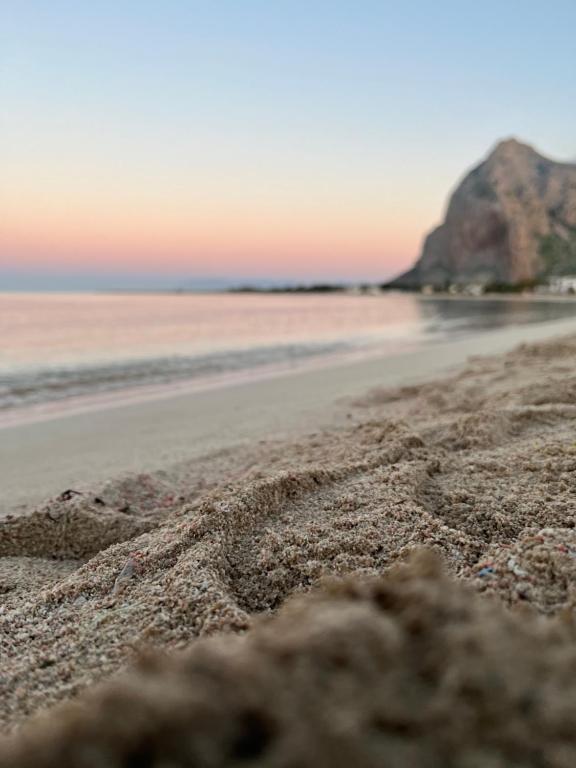 Naturlandskabet i nærheden af lejligheden