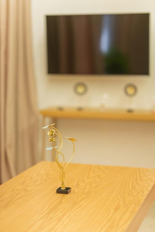 TV a/nebo společenská místnost v ubytování Appart Hôtel Rambla