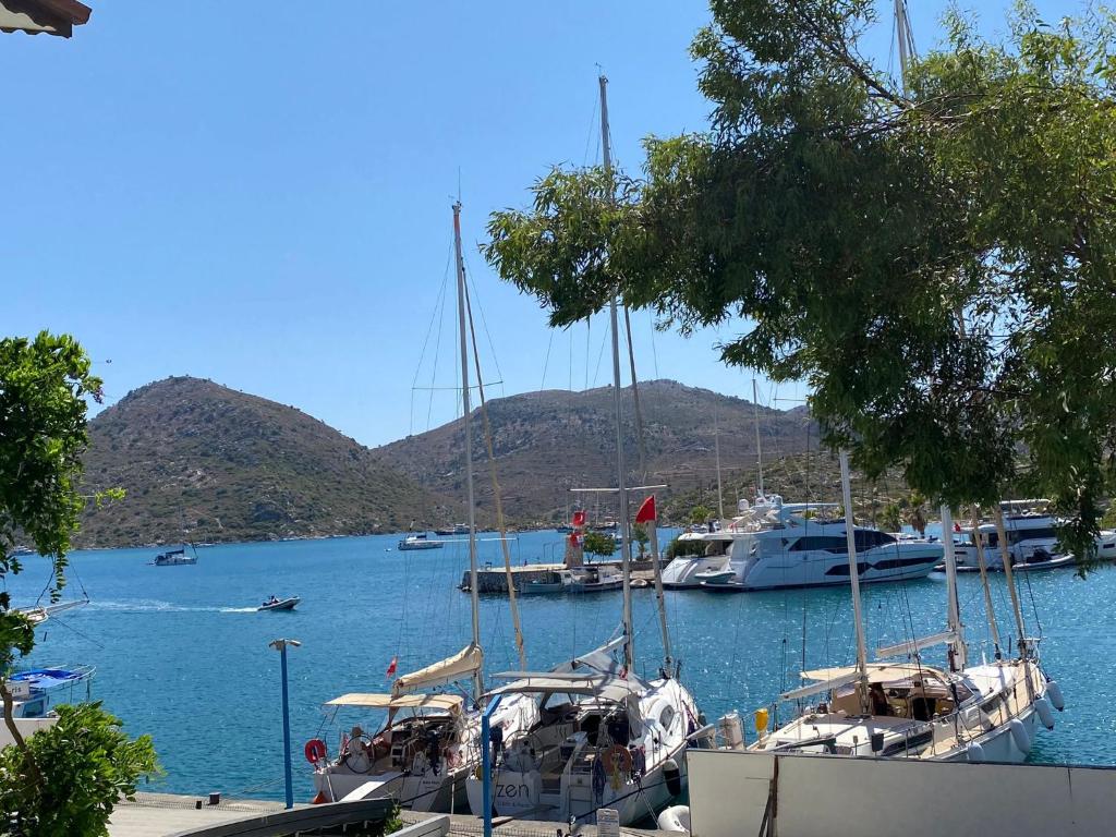 a group of boats docked in a harbor at TRAKHEİA OTEL in Marmaris
