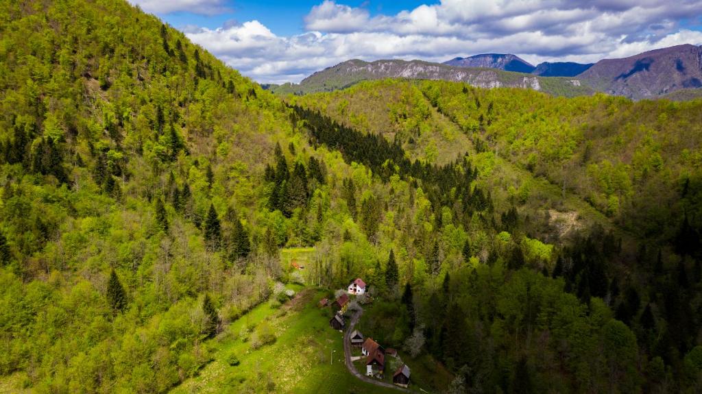 an aerial view of a lush green forest at Holiday house Kajfes in Brod na Kupi