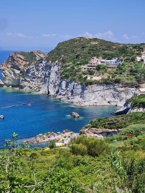 a beach with a bunch of umbrellas in the water at Le Case dei Pescatori - Albicocco in Ponza
