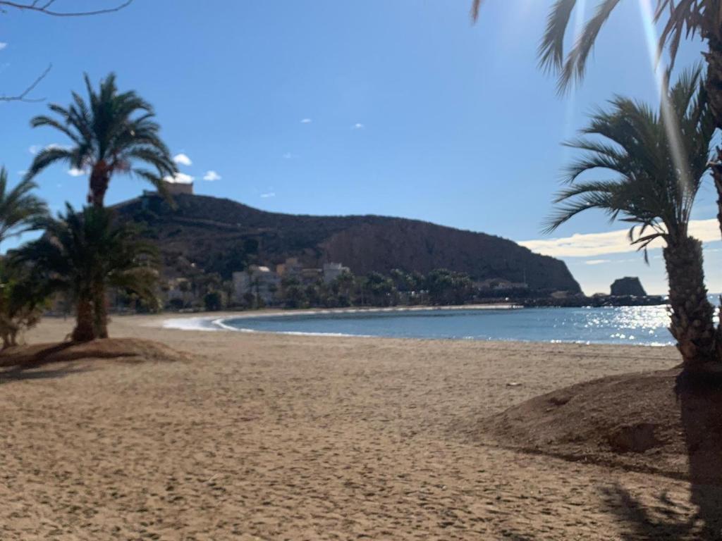 a beach with palm trees and a mountain at Casa La Vuelta in Águilas