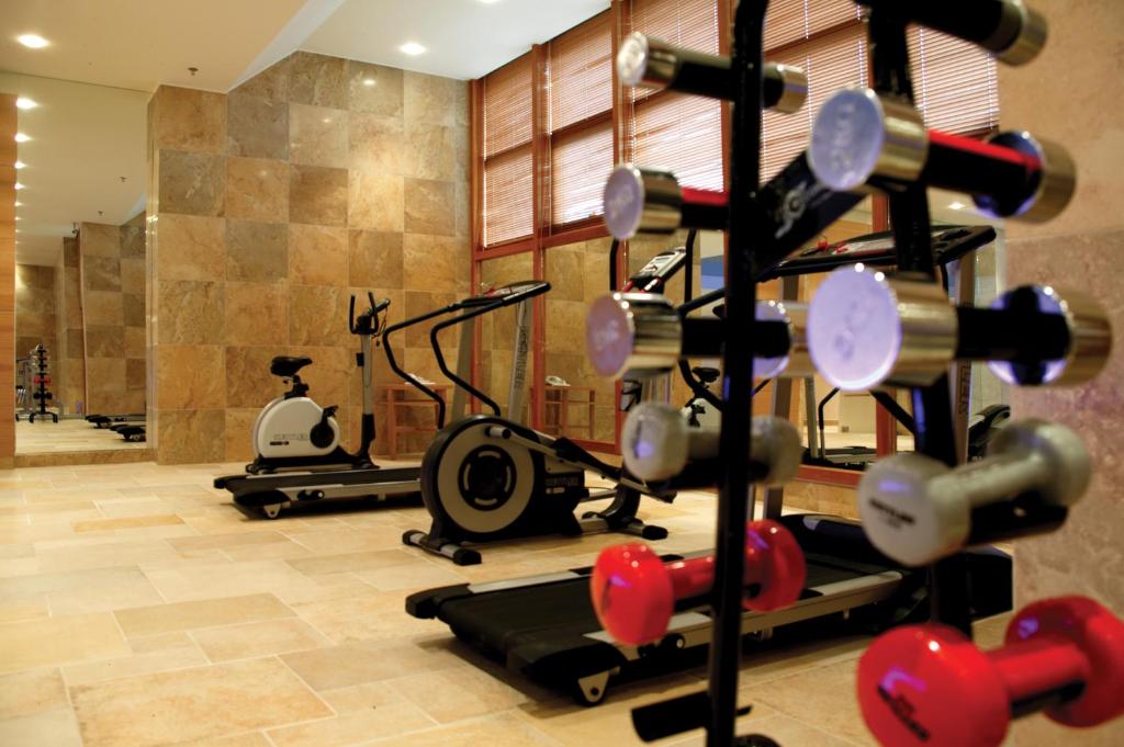 Fitness centrum a/nebo fitness zařízení v ubytování Divani Meteora Hotel