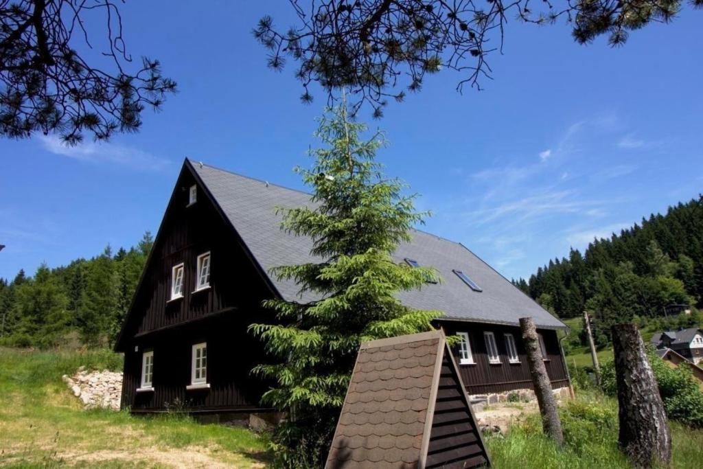 una casa negra con un árbol creciendo de ella en Ferienhaus Anno Dazumal wie zu Opa`s Zeiten en Klingenthal