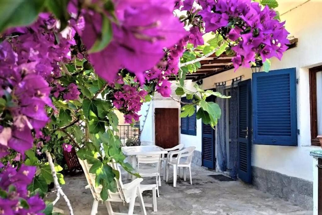 ポモンテにあるLa Pergola di Pomonteの紫色の花と白い椅子のあるパティオ