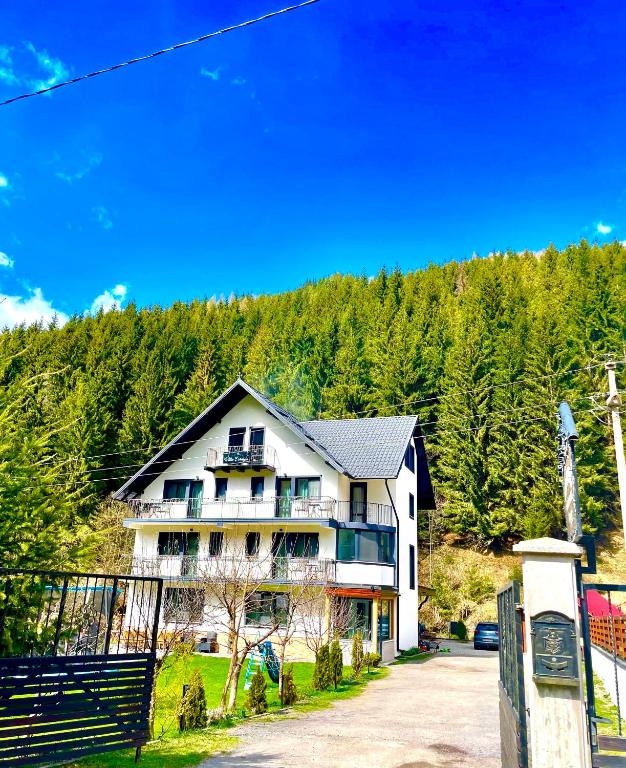 a large house in the middle of a mountain at Pensiunea Emage Moieciu in Moieciu de Sus