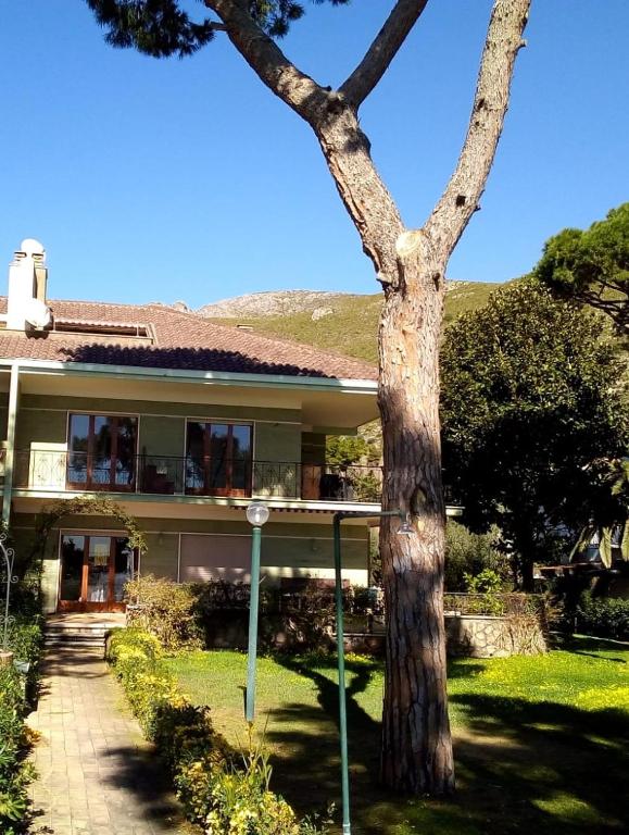a house with a tree in front of it at Villa Luisa B&B in Sperlonga