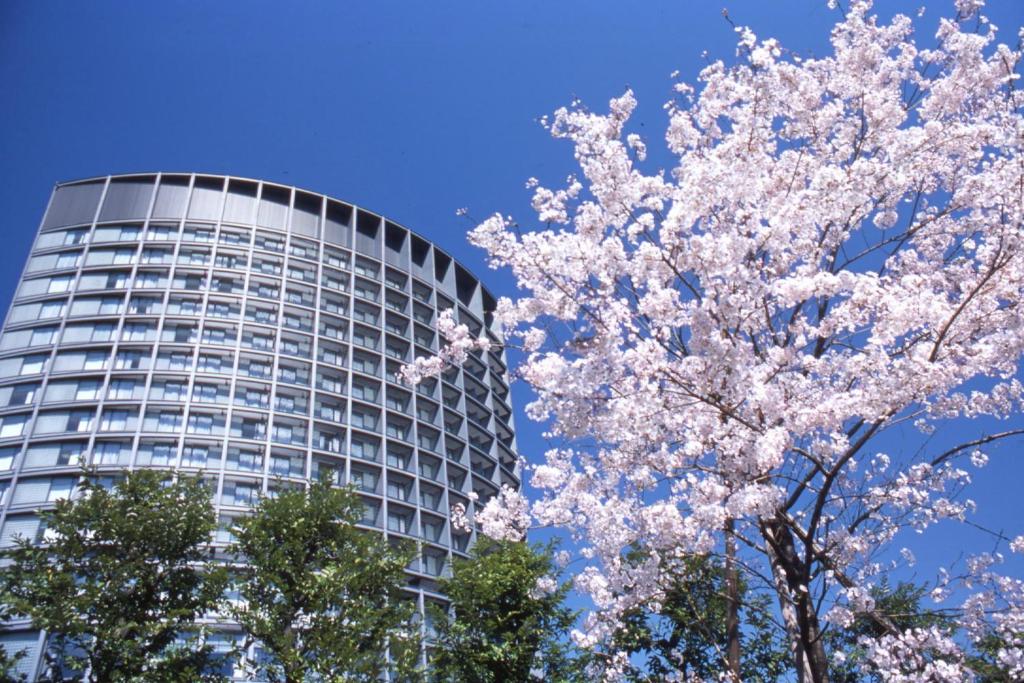 a building with a cherry tree in front of it at Hotel Grand Arc Hanzomon in Tokyo