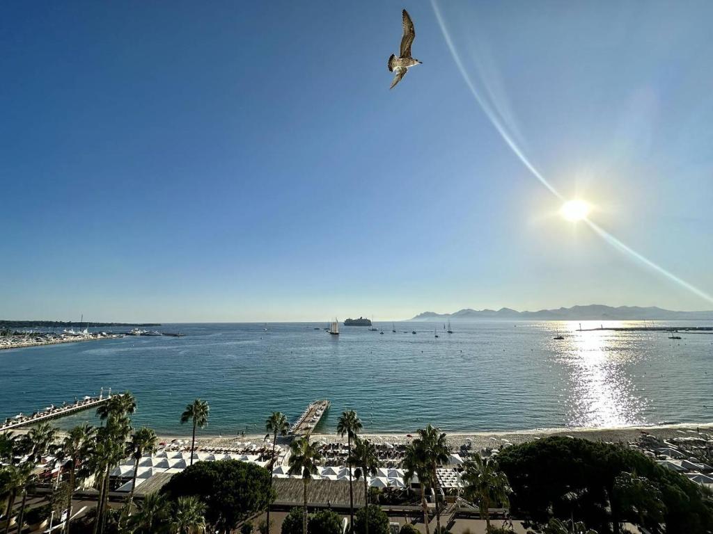 Ein Vogel fliegt über einen Wasserkörper mit einem Strand in der Unterkunft Cannes Croisette - Appartement 5 pièces face mer in Cannes
