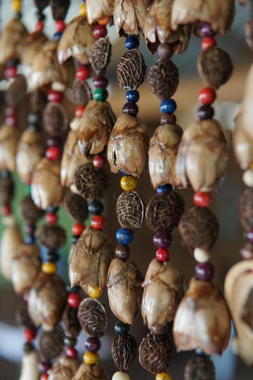 Fotografie z fotogalerie ubytování POUSADA DA DRI LODGE v destinaci Iranduba