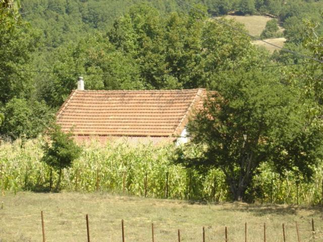a house with a brown roof in a field at The Lake's House in Kryonérion