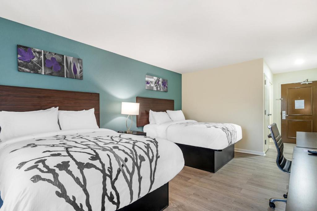 Sleep Inn & Suites - Sala Quadruple - No Fumador
