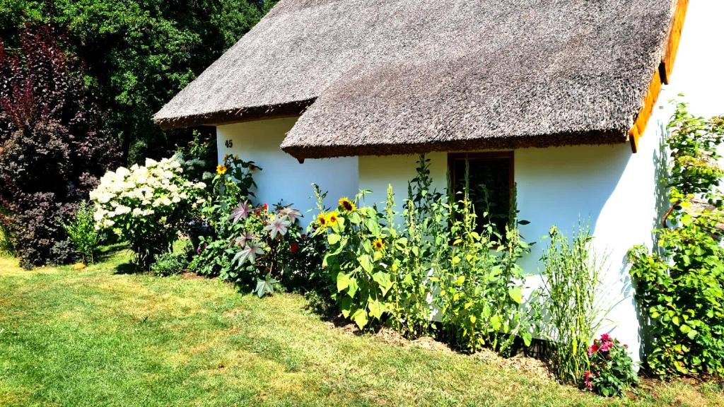 Zahrada ubytování Kauperhaus