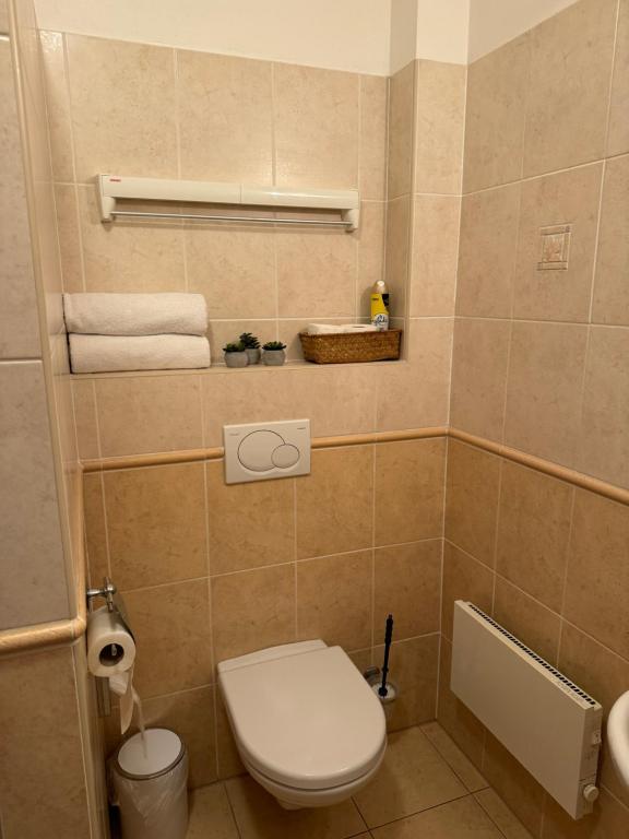 a small bathroom with a toilet and a sink at Apartmány KiRi in Kyjov