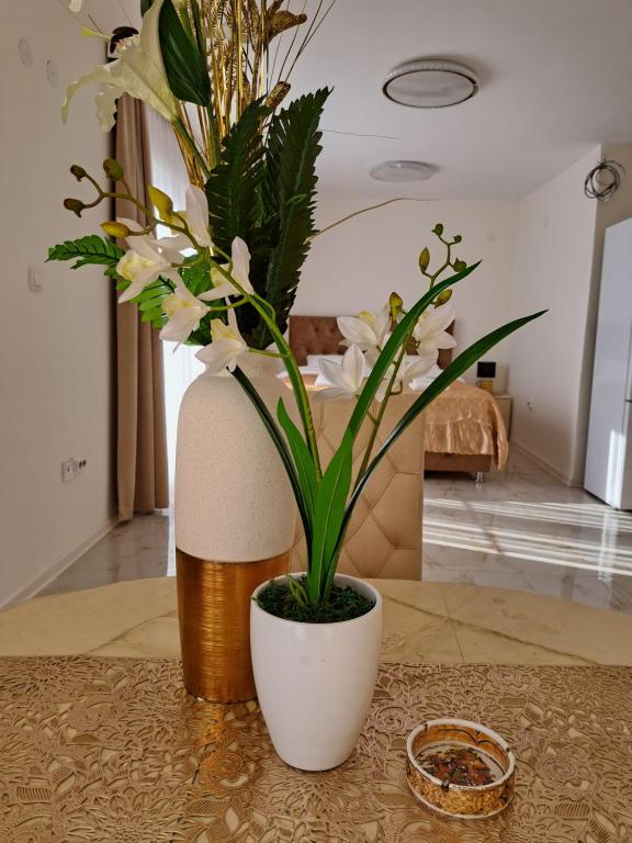 Fotografie z fotogalerie ubytování DINA LUX Apartman v destinaci Jagodina