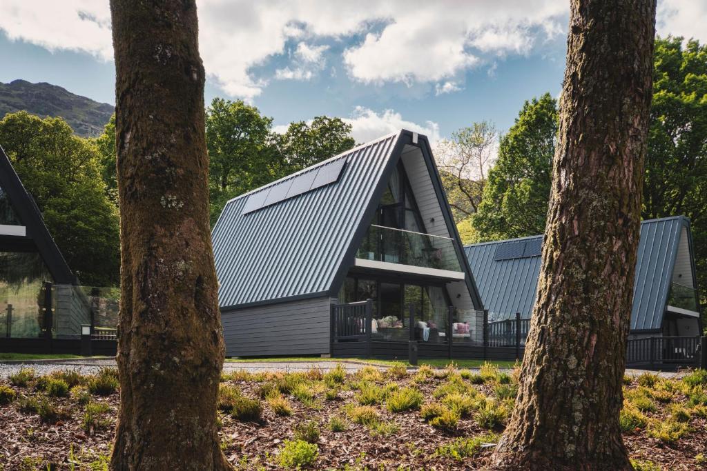 een huis met een metalen dak en twee bomen bij Ardlui Retreat Lodge 2 in Arrochar