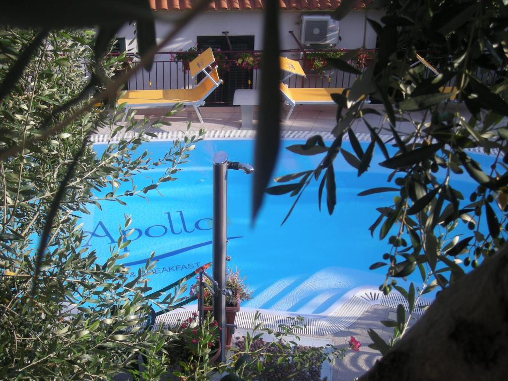 - une piscine avec 2 chaises jaunes à côté dans l'établissement Apollo, à Mattinata