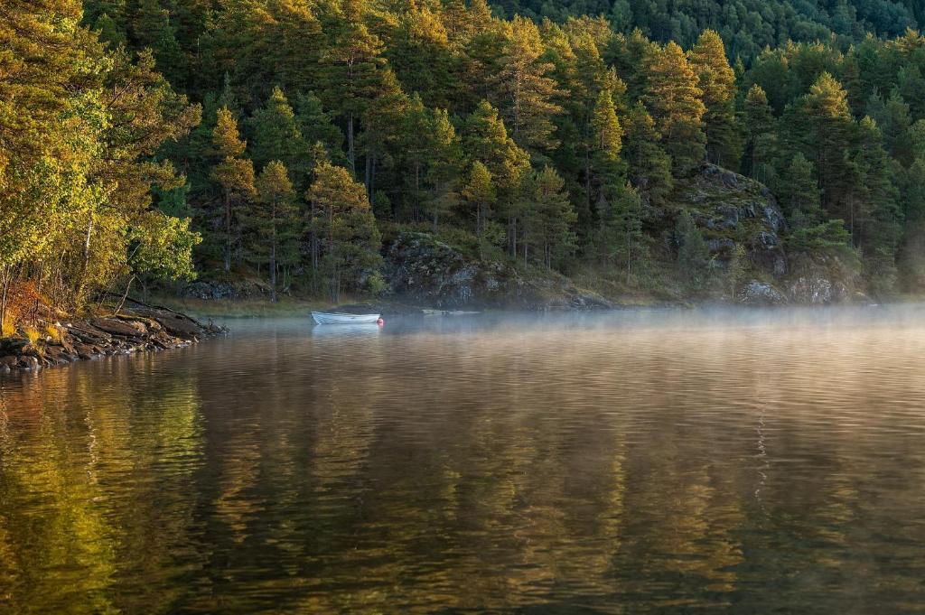 Loodusmaastik apartemendi lähedal