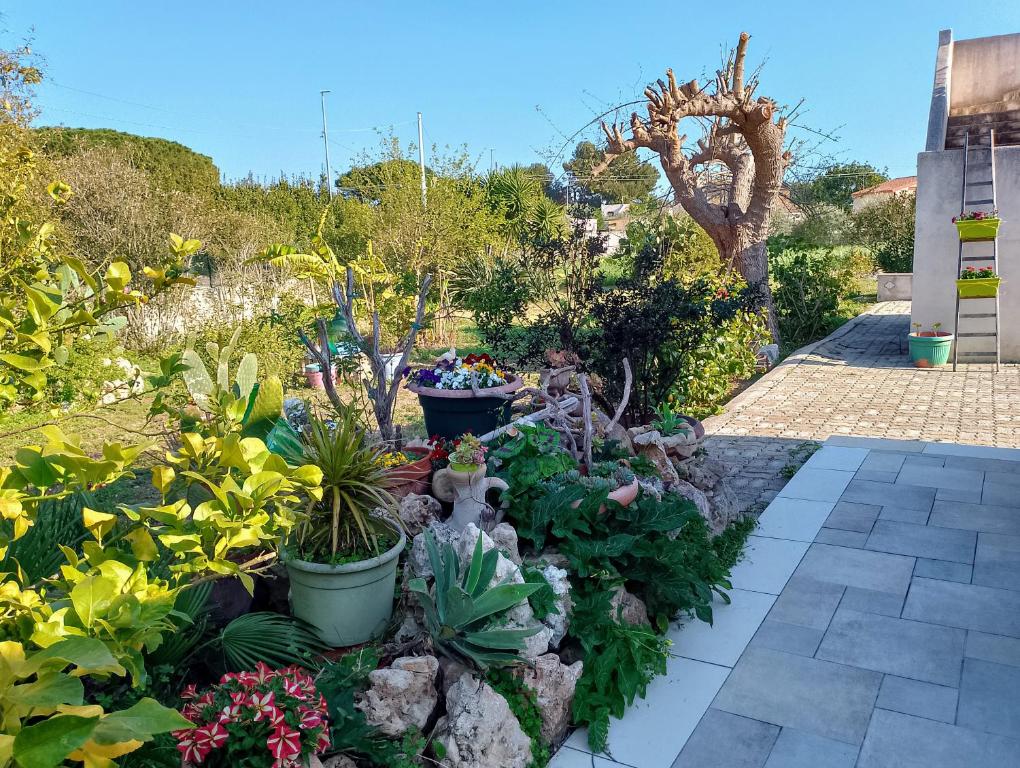Zahrada ubytování Dépendance in Villa Siciliana
