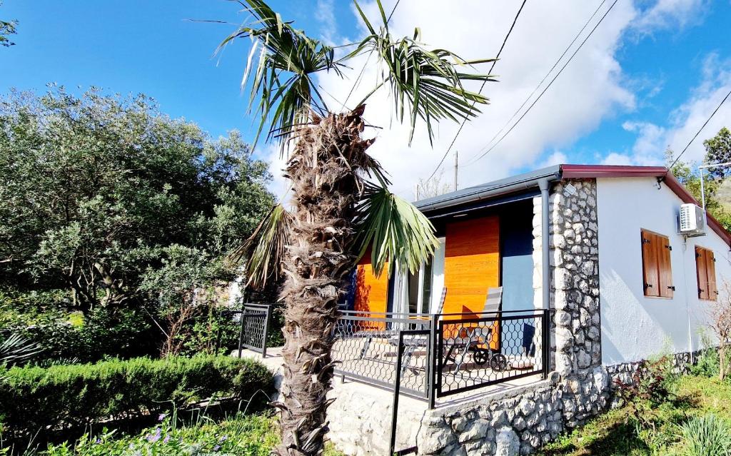a palm tree in front of a house at Solis in Brseč