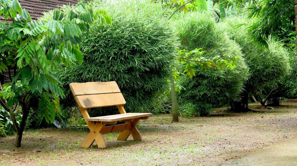 Jardin de l'établissement Clayfingers Art Cottage
