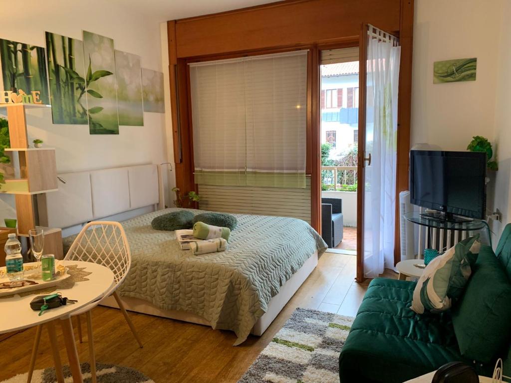 una camera con letto, divano e TV di Ferienwohnung Casa Bella Verde a Lesa