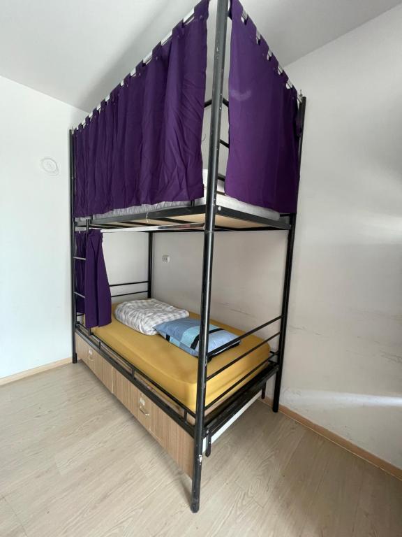 a bunk bed in a room with purple curtains at NEWBORN comfort HOSTEL in Pristina