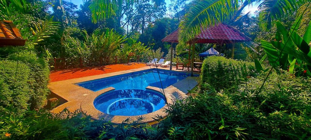 Bazén v ubytování Cabinas Costa Tropicana nebo v jeho okolí