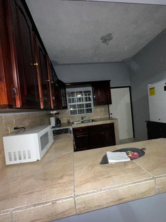a kitchen with a counter top with a microwave at Hospedaje en Juticalpa in Juticalpa