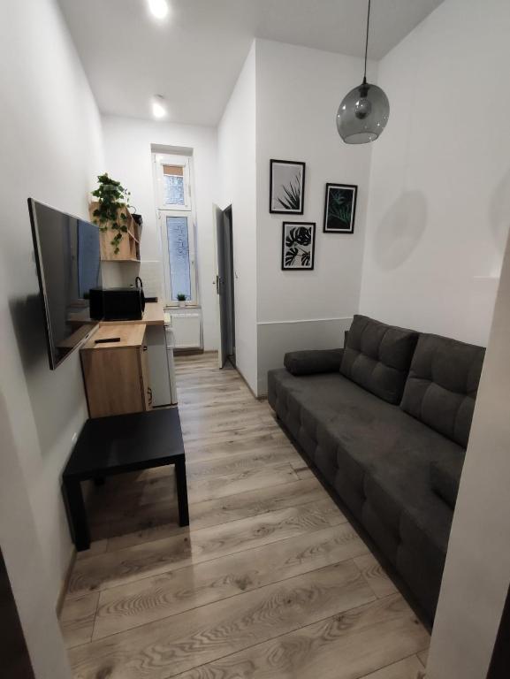 a living room with a couch and a television at Little room 7 - pokój z prywatną łazienką i aneksem in Szczecin