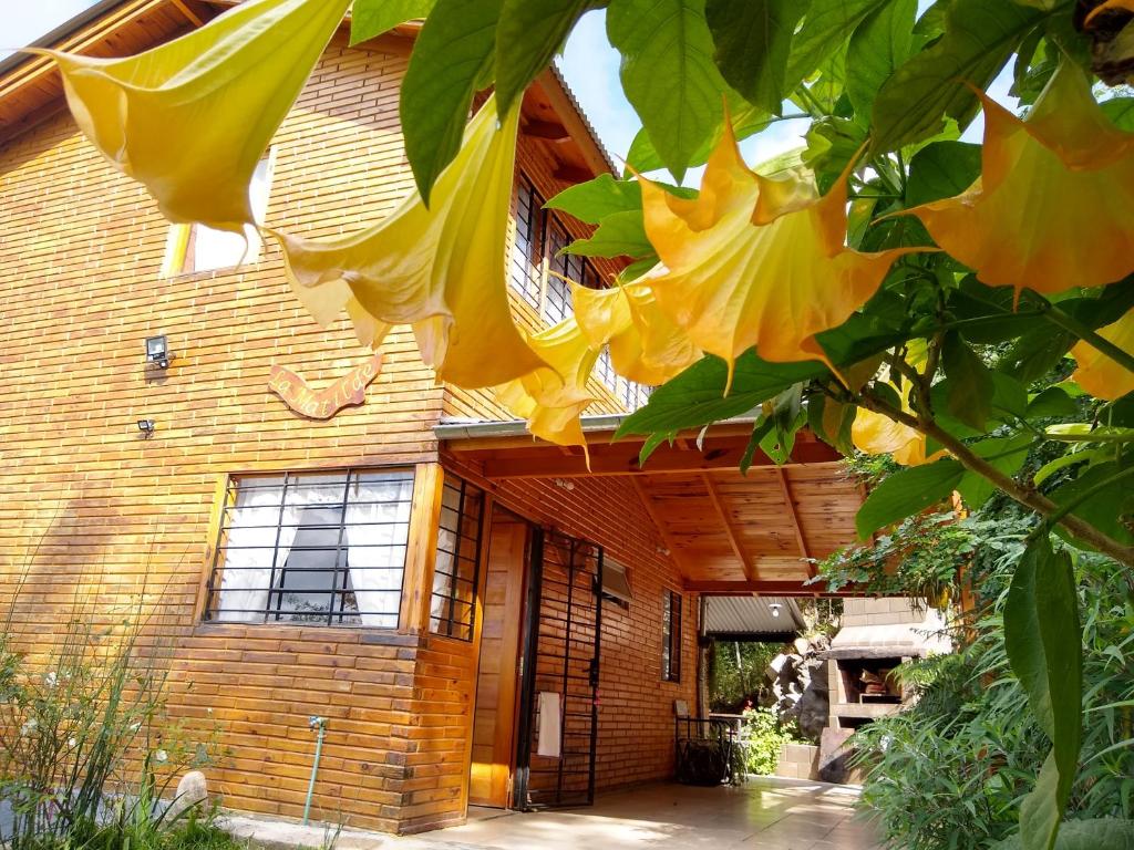 una casa de madera con cortinas amarillas delante de ella en Cabaña LA MATILDE en Río Ceballos