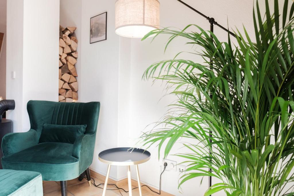 Posezení v ubytování NEU Deluxe Suite Münsterblick, Maisonette, Kingsize Bett, Küche, Netflix, Aussicht, E-Kamin