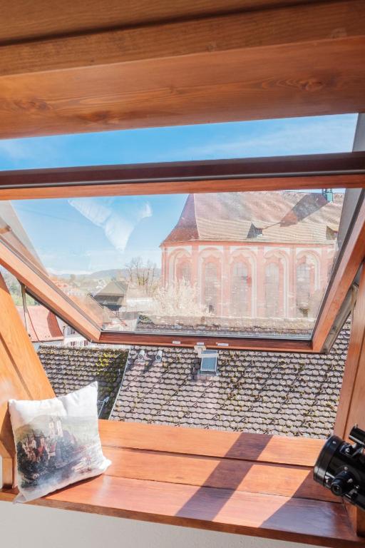 Fotografie z fotogalerie ubytování NEU Deluxe Suite Münsterblick, Maisonette, Kingsize Bett, Küche, Netflix, Aussicht, E-Kamin v destinaci Bad Säckingen