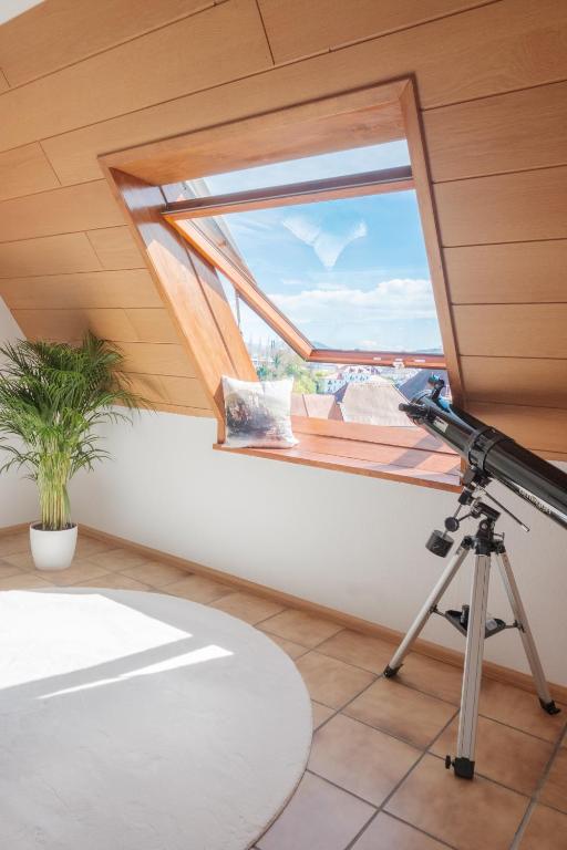 Fotografie z fotogalerie ubytování NEU Deluxe Suite Münsterblick, Maisonette, Kingsize Bett, Küche, Netflix, Aussicht, E-Kamin v destinaci Bad Säckingen