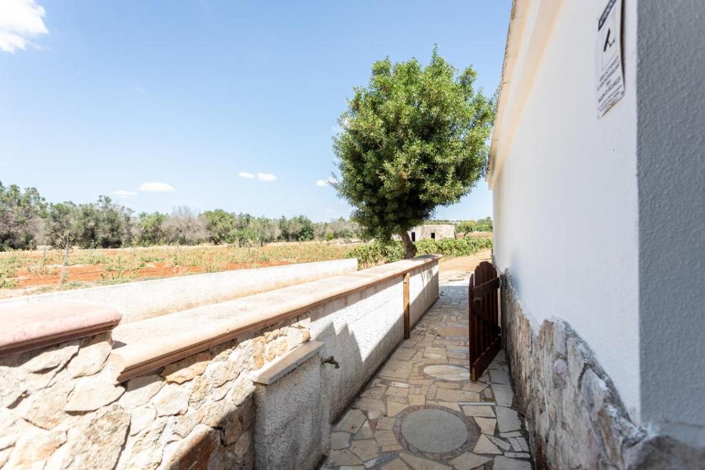 Zdjęcie z galerii obiektu Villetta Jasmine con giardino Torre Pali w mieście Torre Pali