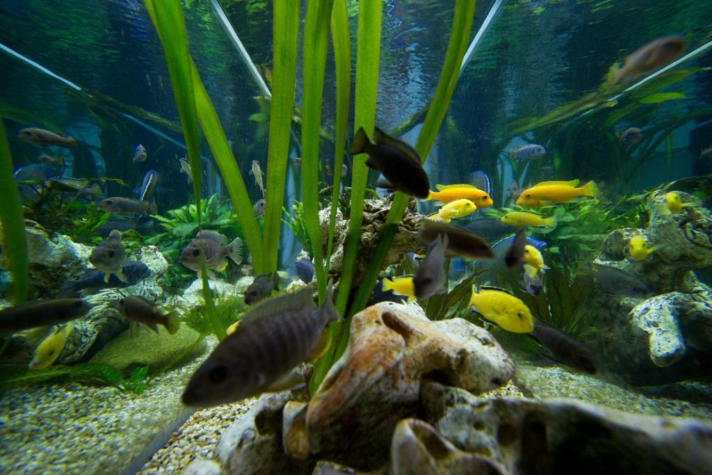 MyPlace Premium Apartments - Resim 14